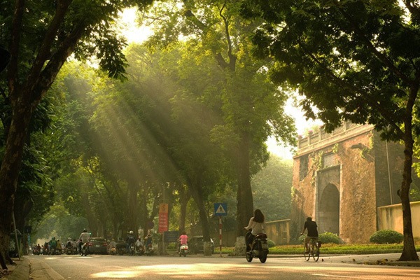 Dự báo thời tiết ngày 13/2: Miền Bắc có sương mù vào sáng sớm, trưa chiều hửng nắng