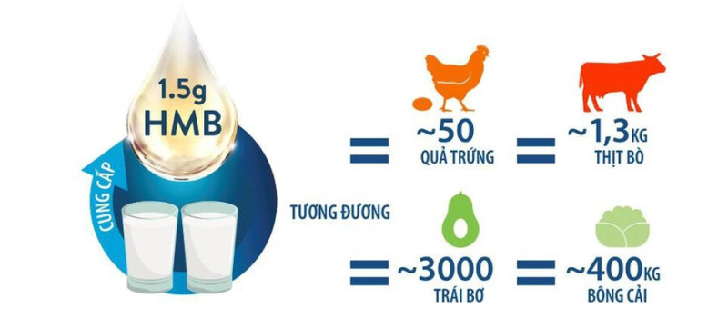 HMB dưỡng chất giúp phục hồi, tăng cường sức khỏe và bảo vệ hệ cơ xương khớp chắc khỏe