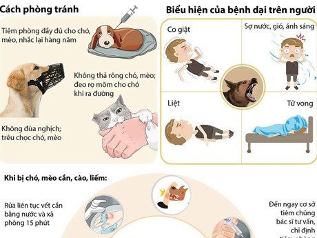 Bình Thuận: Một ca tử vong nghi do bệnh dại tại Hàm Tân