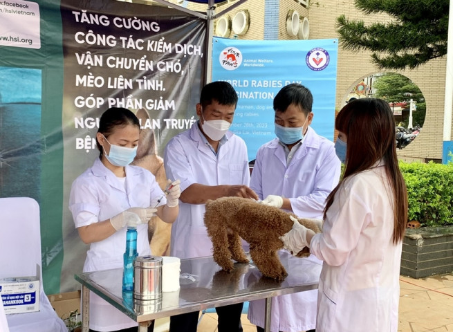 Gia Lai: Một học sinh tử vong sau 2 tháng bị chó cắn