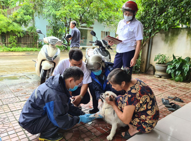 Lào Cai tăng cường các biện pháp phòng, chống bệnh dại động vật