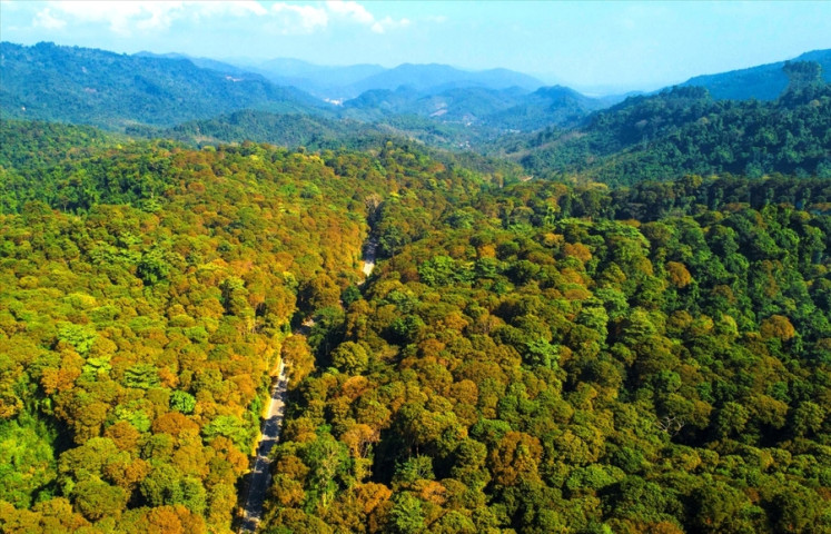 Đề án phát triển giá trị đa dụng của hệ sinh thái rừng đến năm 2030, tầm nhìn đến năm 2050