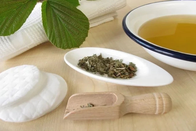 6 loại trà chữa bệnh trĩ