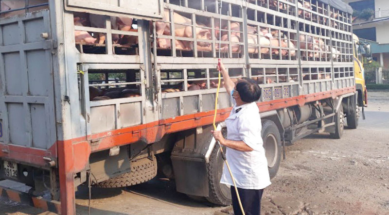 Thừa Thiên Huế triển khai Tháng tổng vệ sinh, khử trùng, tiêu độc môi trường đợt 1 năm 2024