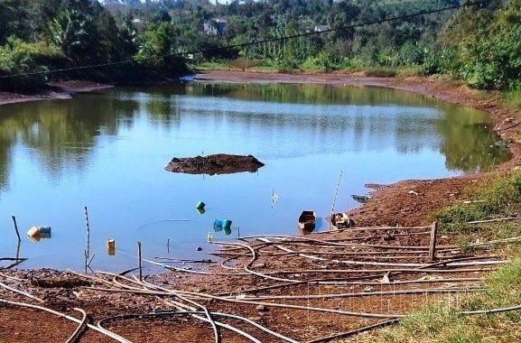 Đắk Nông chủ động phòng, chống hạn hán, thiếu nước mùa khô 2024