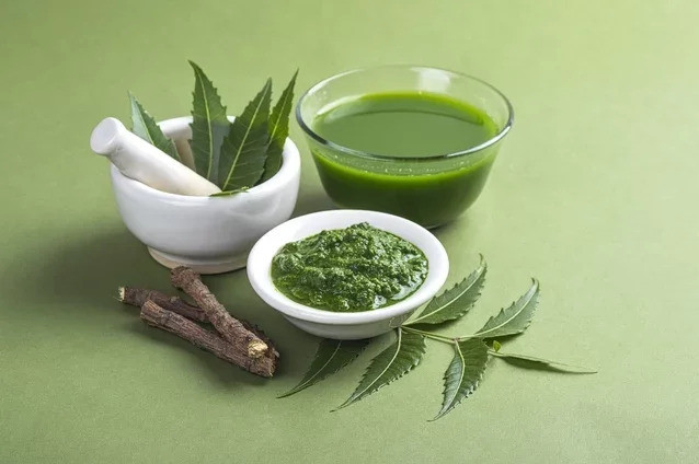 Tác dụng và cách sử dụng của cây Neem