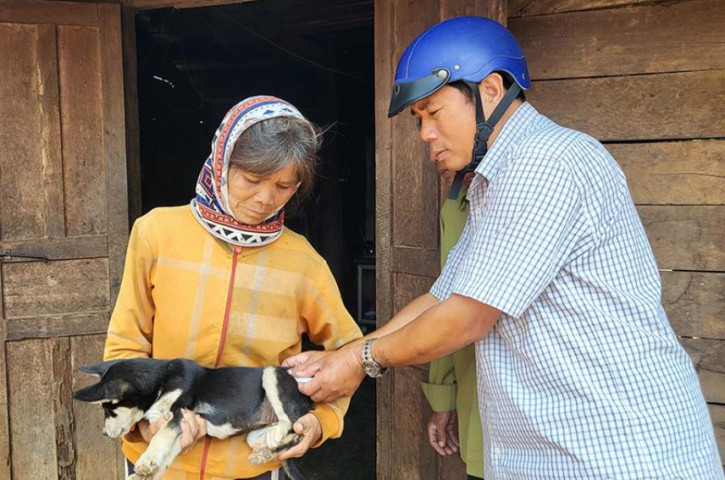 Đắk Lắk báo động tình trạng tử vong do bệnh dại ở Krông Pắc