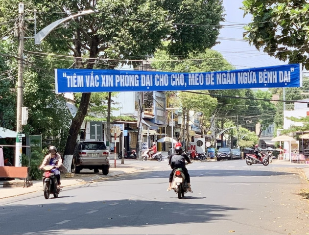 Gia Lai: Ghi nhận thêm 1 trẻ tử vong do bệnh dại