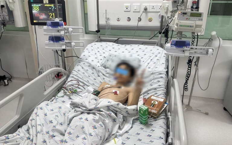TP. Hồ Chí Minh: Một bé trai bị bò giẫm đạp phải nhập viện cấp cứu khi bất ngờ nôn ra máu