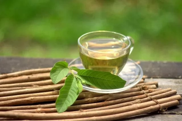 Tác dụng chữa bệnh của lá ổi