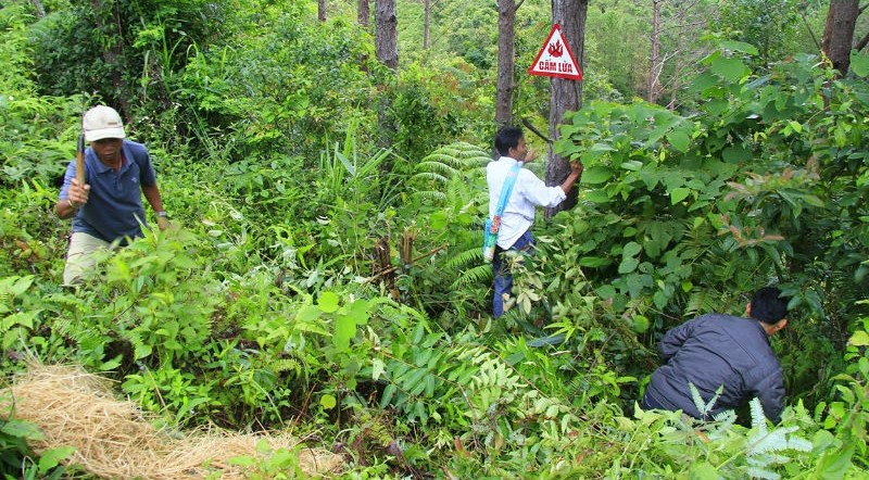 Quảng Bình tăng cường công tác quản lý, bảo vệ, sử dụng và phát triển rừng