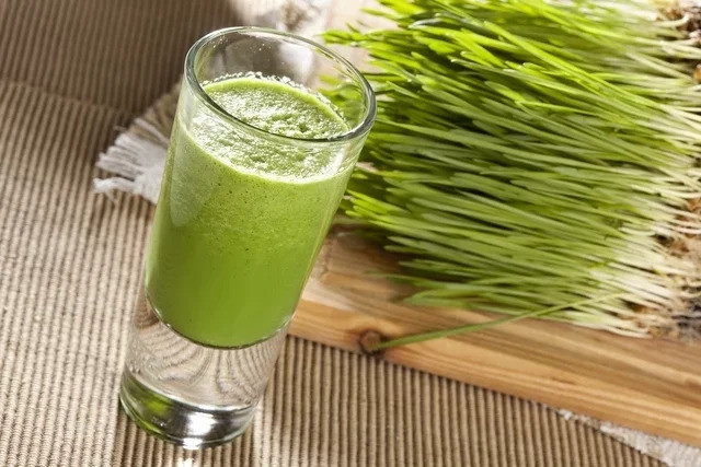 Tác dụng chữa bệnh của cỏ lúa mì