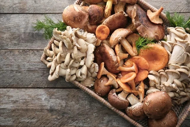 9 lợi ích của nấm