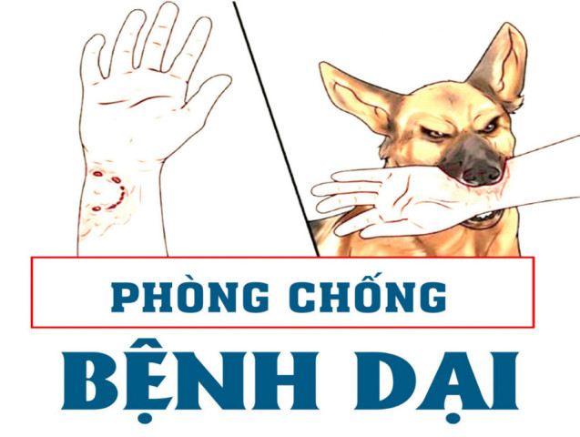 Phòng chống bệnh Dại