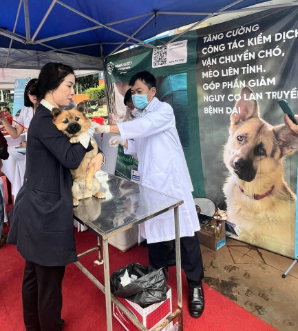 Đắk Lắk ban hành công điện về việc tập trung thực hiện nghiêm công tác phòng, chống bệnh dại