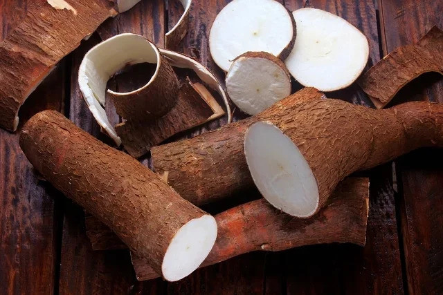 10 lợi ích của sắn