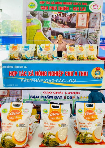 Gia Lai: Huyện Phú Thiện tích cực chuẩn bị cho phiên chợ nông sản tại Lễ hội Cầu mưa của Yang Pơtao Apui 2024