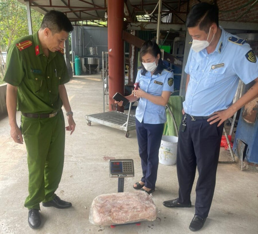 Lào Cai phát hiện và tạm giữ 1.050 kg nầm lợn đông lạnh, không rõ nguồn gốc xuất xứ, không có số lô sản xuất