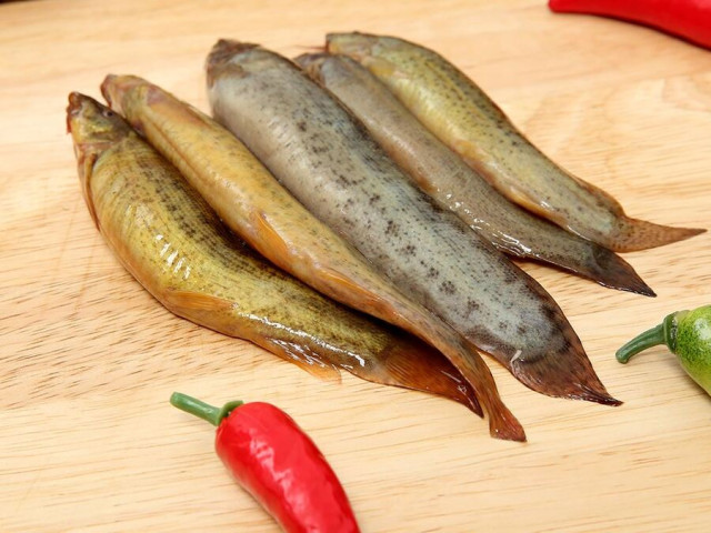 Bài thuốc bổ từ món cá chạch