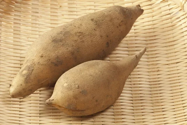 6 lợi ích của khoai tây yacon