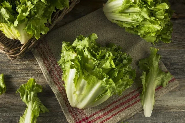9 lợi ích của rau diếp