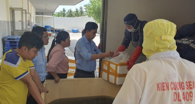 Kiên Giang phát hiện hơn 500 kg tôm nguyên liệu chứa tạp chất