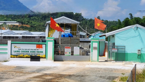 Thanh Hóa: Trang trại lợn của Công ty Agri-Vina tiếp tục bốc mùi hôi thối
