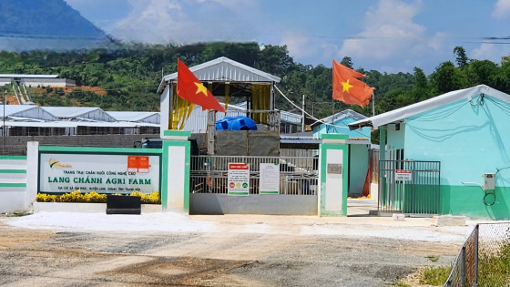 Thanh Hóa: Trang trại lợn của Công ty Agri-Vina tiếp tục bốc mùi hôi thối