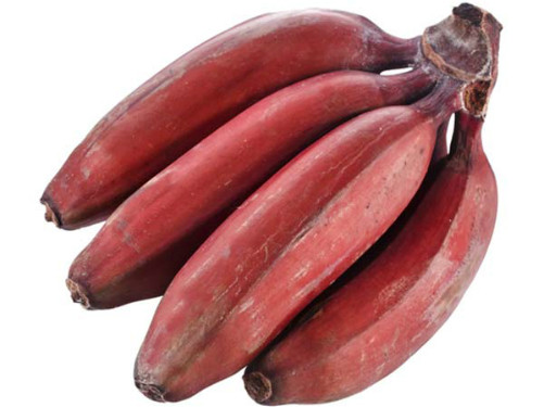 Lợi ích của chuối đỏ trong việc giảm mỡ nội tạng