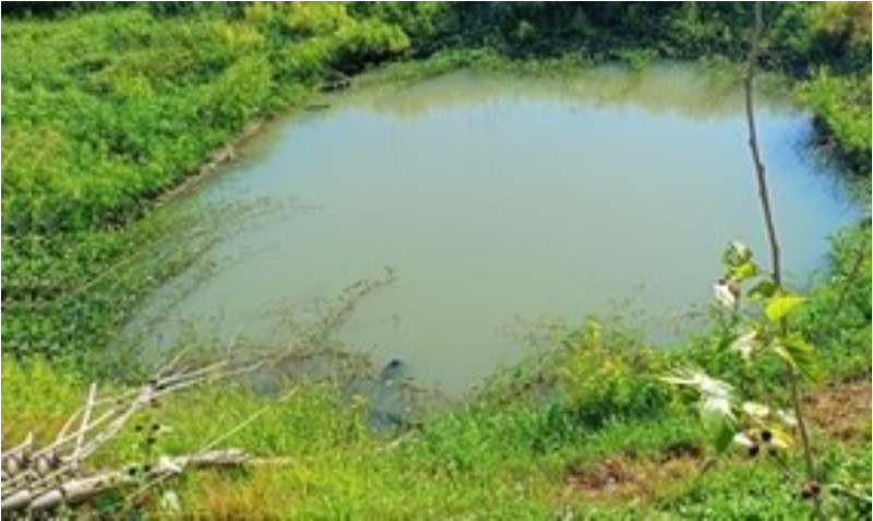 Đắk Nông: Hai cháu bé tử vong do đuối nước