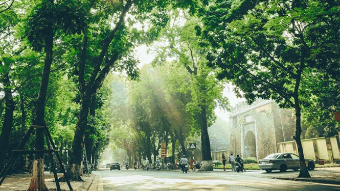 Dự báo thời tiết ngày 14/5: Bắc Bộ ngày nắng, chiều tối có mưa rào và dông