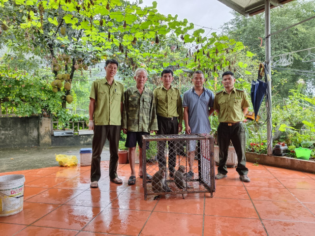 Lào Cai: Bàn giao 2 cá thể khỉ cho Trung tâm Cứu hộ, bảo tồn và Phát triển sinh vật Hoàng Liên