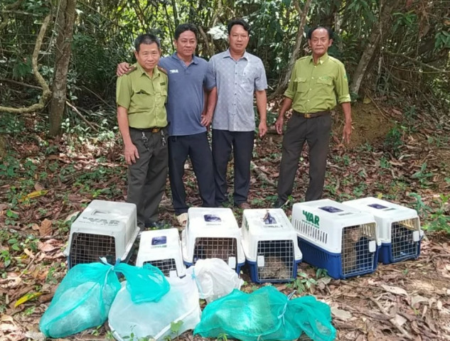 Đồng Nai: Thả 13 cá thể động vật hoang dã về với rừng Mã Đà