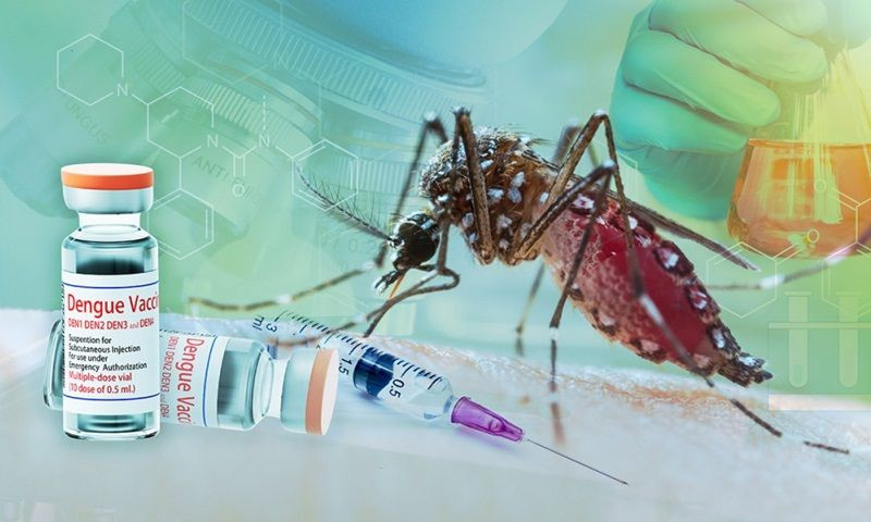 Vaccine ngừa sốt xuất huyết được Bộ Y tế cấp phép lưu hành tại Việt Nam từ ngày 15/5
