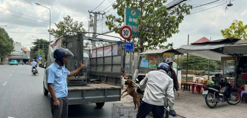Đồng Nai: Ghi nhận thêm 2 ổ dịch chó dại tại huyện Trảng Bom và huyện Long Thành