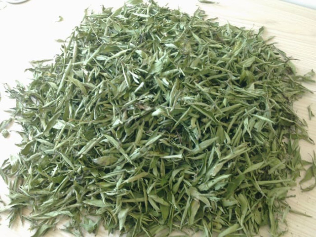Những cây thuốc nam có vị ngọt đậm không làm tăng đường huyết