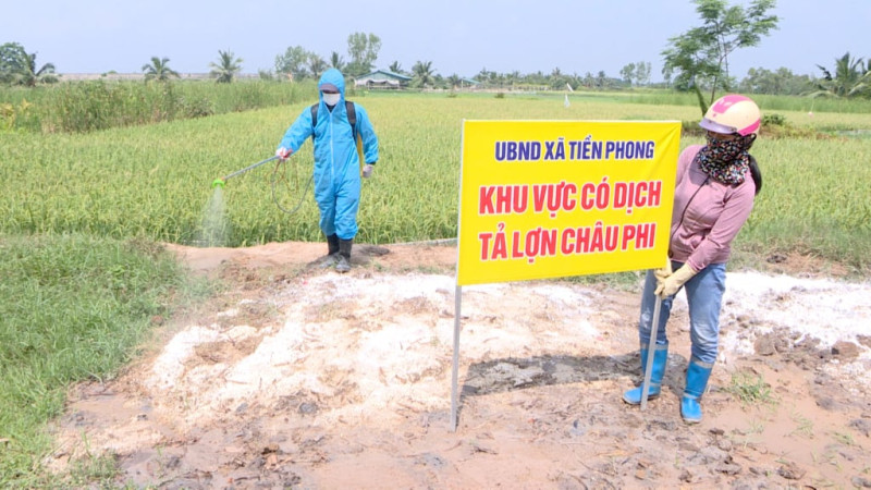 Quảng Ninh: Quyết liệt phòng chống dịch tả lợn châu Phi