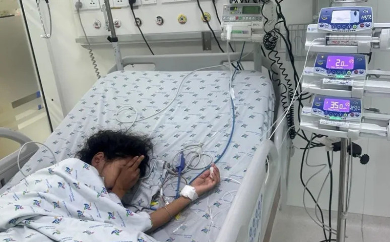 Đang chơi trước sân nhà, bé gái 11 tuổi bị ong vò vẽ làm tổ ở trên cây gần đó đốt dẫn đến suy hô hấp