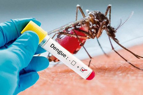 Hải Phòng: Tăng cường phòng, chống bệnh sốt xuất huyết Dengue