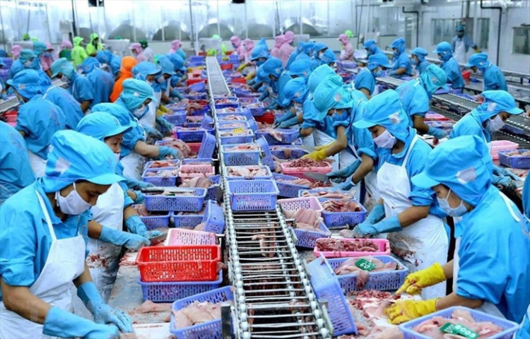 Kiện toàn hệ thống SPS Việt Nam, nâng cao hiệu quả các biện pháp vệ sinh dịch tễ, kiểm dịch động, thực vật