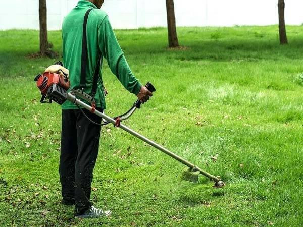 Quảng Ninh: Nhiều trường hợp nhập viện cấp cứu do sử dụng máy cắt cỏ