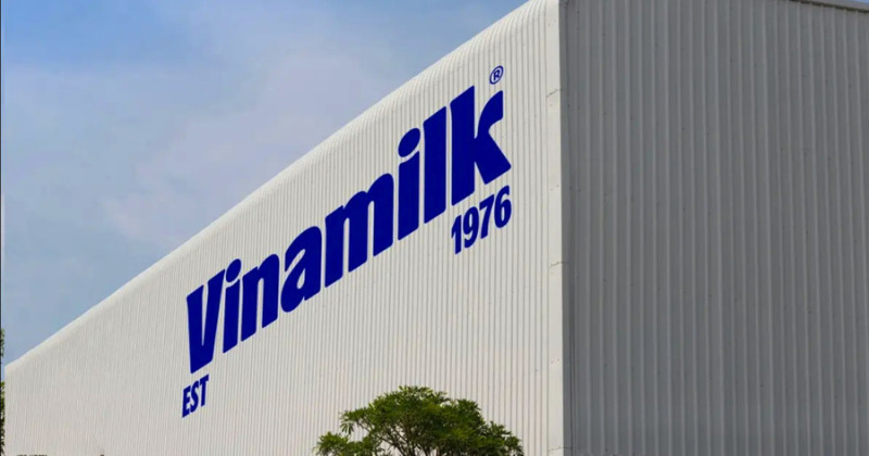 Vinamilk - doanh nghiệp duy nhất của ngành sữa Việt Nam trong danh sách Fortune 500  Đông Nam Á