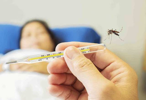 Hà Nội: Ghi nhận 84 ca mắc sốt xuất huyết, 30 ca mắc tay chân miệng trong tuần qua