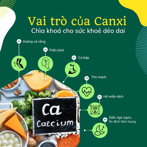 Nhóm thực phẩm giàu Canxi – Bí quyết bảo vệ xương khớp khỏe mạnh