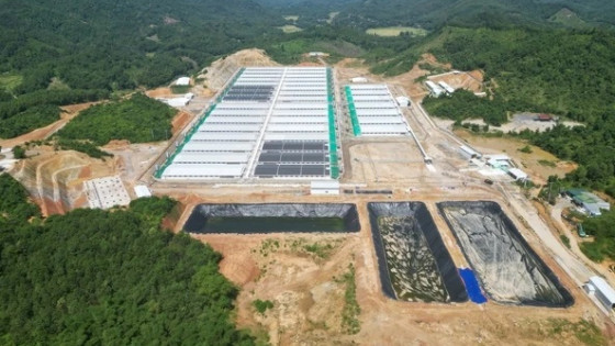 Thanh Hóa: Đình chỉ hoạt động trang trại chăn nuôi lợn của Công ty Agri-Vina