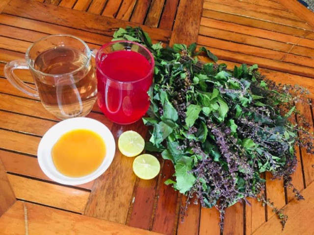 Cách dùng hương nhu làm thuốc giải cảm
