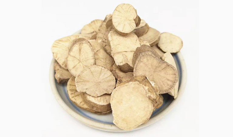 Bài thuốc chữa bệnh từ củ dòm