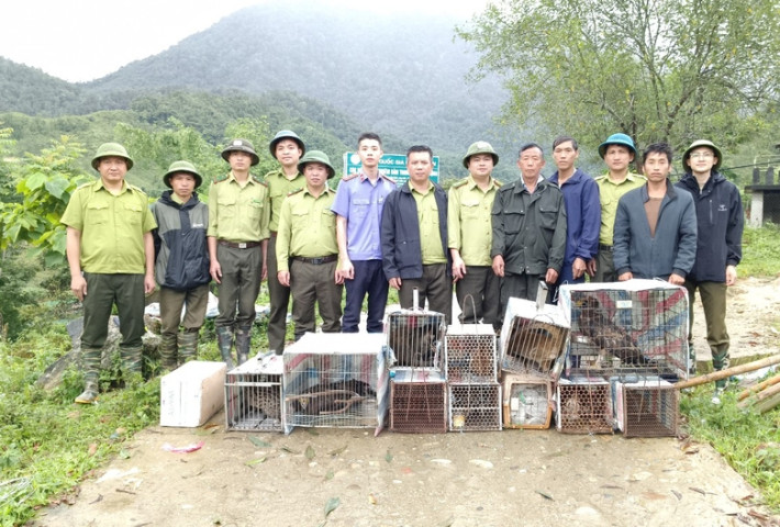 Lào Cai: Tái thả 28 cá thể động vật rừng về môi trường tự nhiên