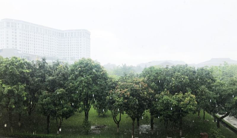 Bắc Ninh: Chủ động ứng phó với áp thấp nhiệt đới và mưa lớn trên địa bàn tỉnh