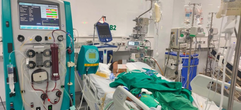 Hà Nội: Cấp cứu bé gái 13 tuổi bị sốc phản vệ độ 3 do ong đốt